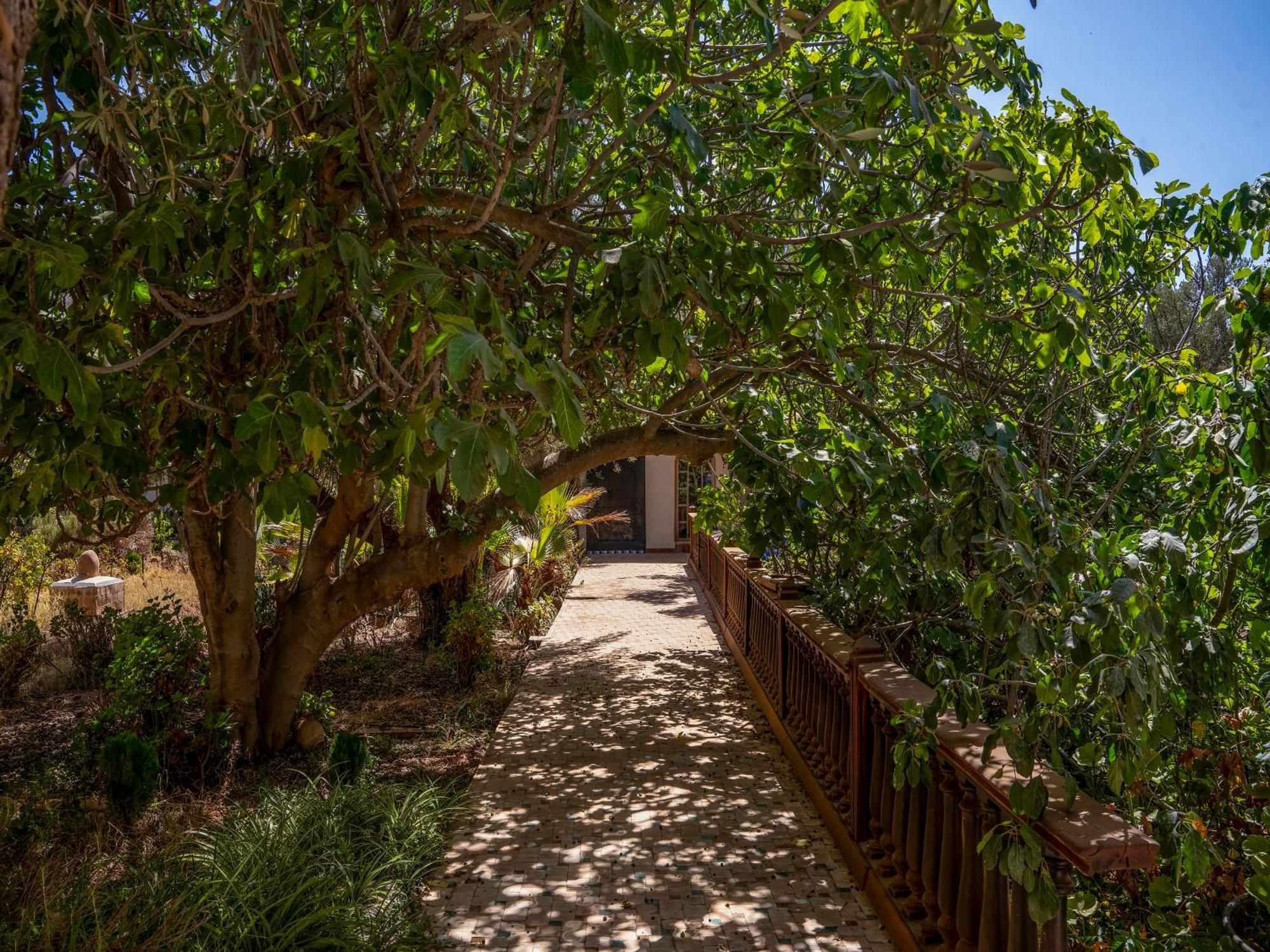Riad Cle De Sol Aghmat Exterior photo