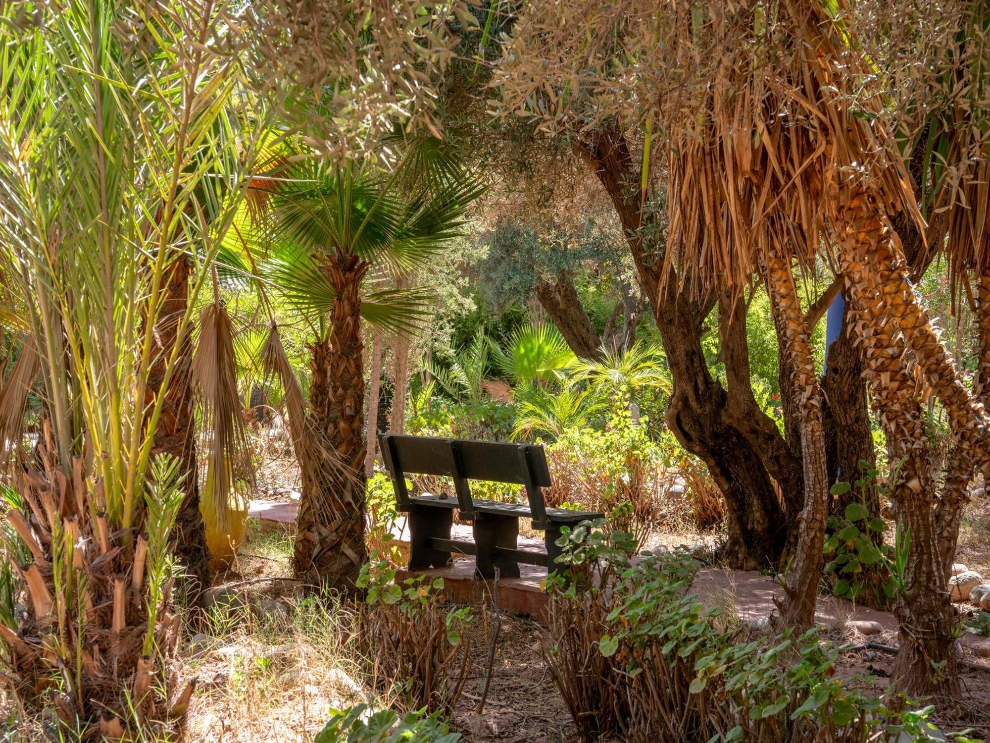 Riad Cle De Sol Aghmat Exterior photo